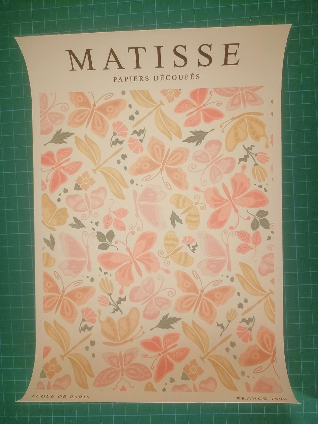 Foto & Immagini: Affiche d'art Matisse "Papillons" - Déco printemps – Nuovo (secondo la descrizione) da Lausanne venduto da hel_t5v7