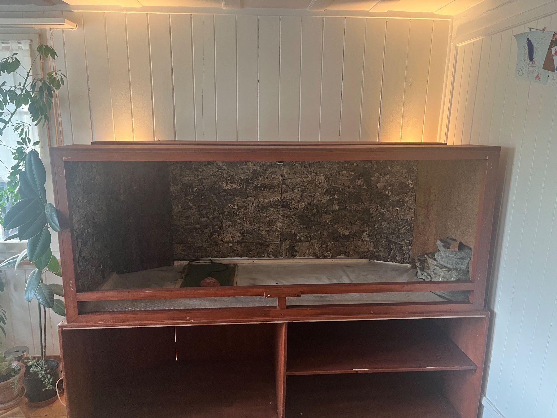 Terrario: Terrarium – Usato da Limpach venduto da Fscostar 7