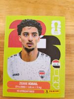 Panini FIFA World Cup IRQ 9