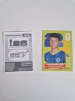 Panini Sticker BIH15