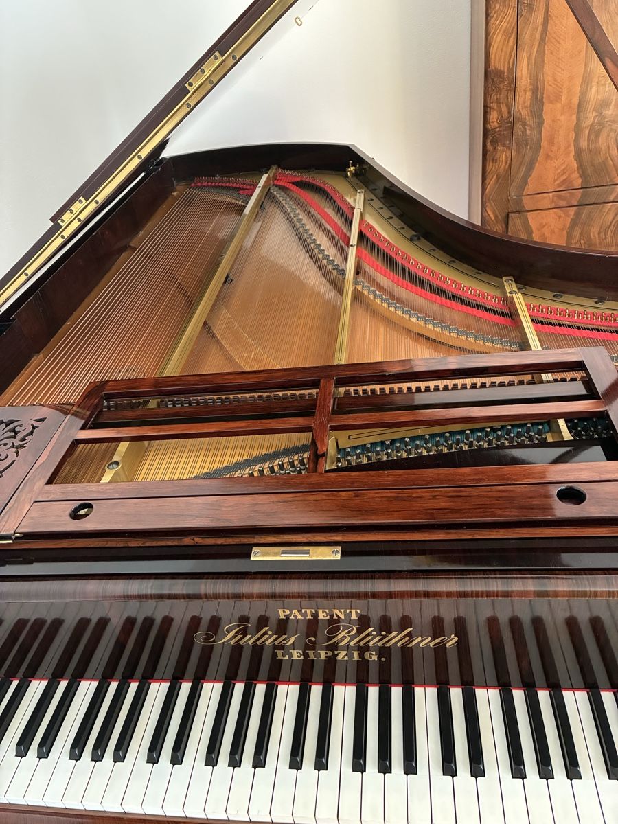 Blüthner Musikinstrumente: Blüthner 1858 – Gebraucht aus Vétroz von Saraho 4
