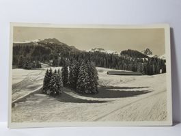 Flumserberg , Prodkamm , Maskenkamm , Zieger  1934