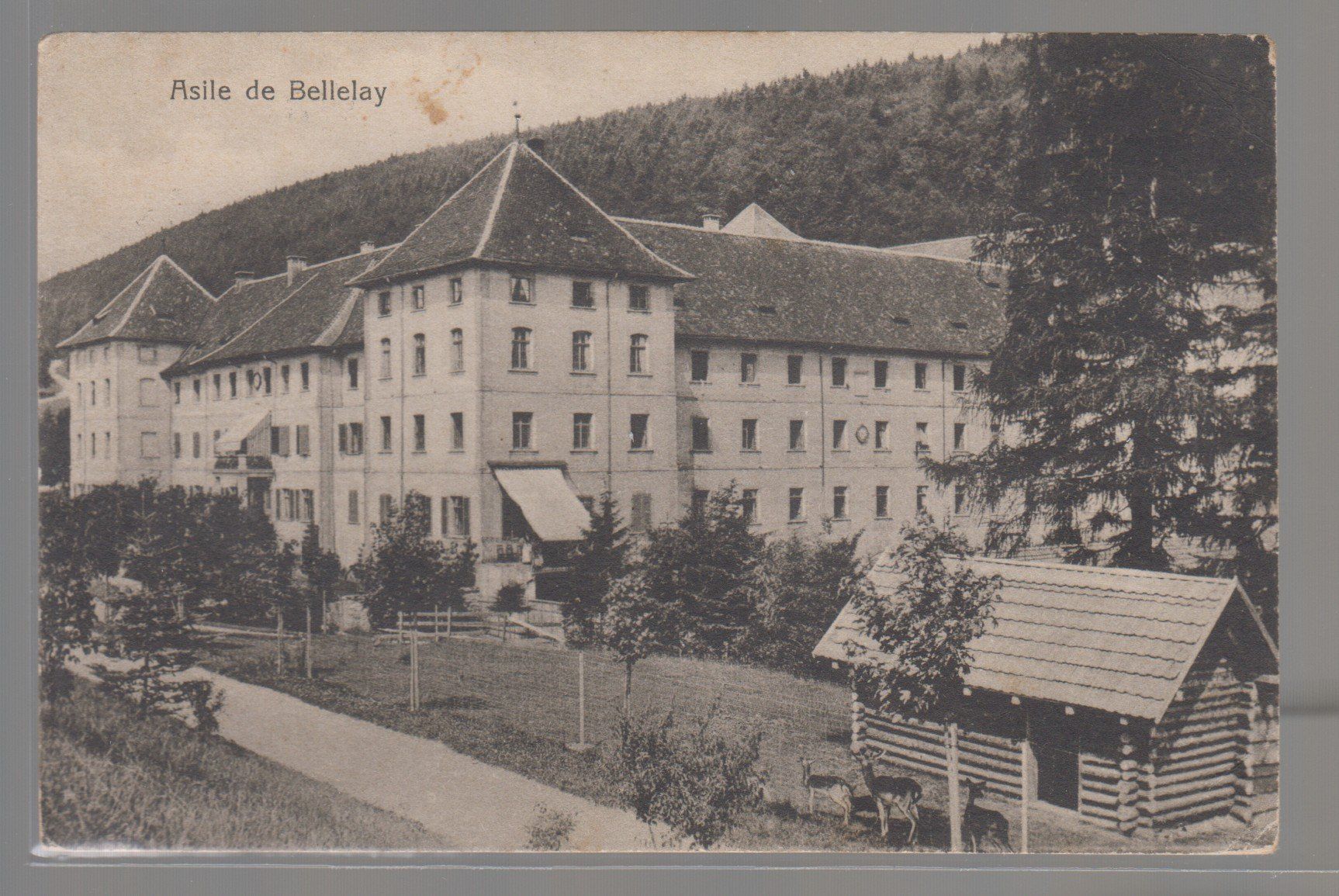 Cartoline postali: Carte Asile de Bellelay circulé 1917 – Usato da Boécourt venduto da Denteles66