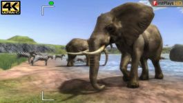 Wild Earth African Safari Safariabenteuer  Wii