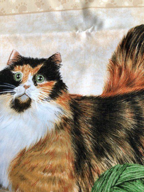 Tessuti: STOFF MIT KATZEN – Nuovo (secondo la descrizione) da Ostermundigen venduto da wini63 1