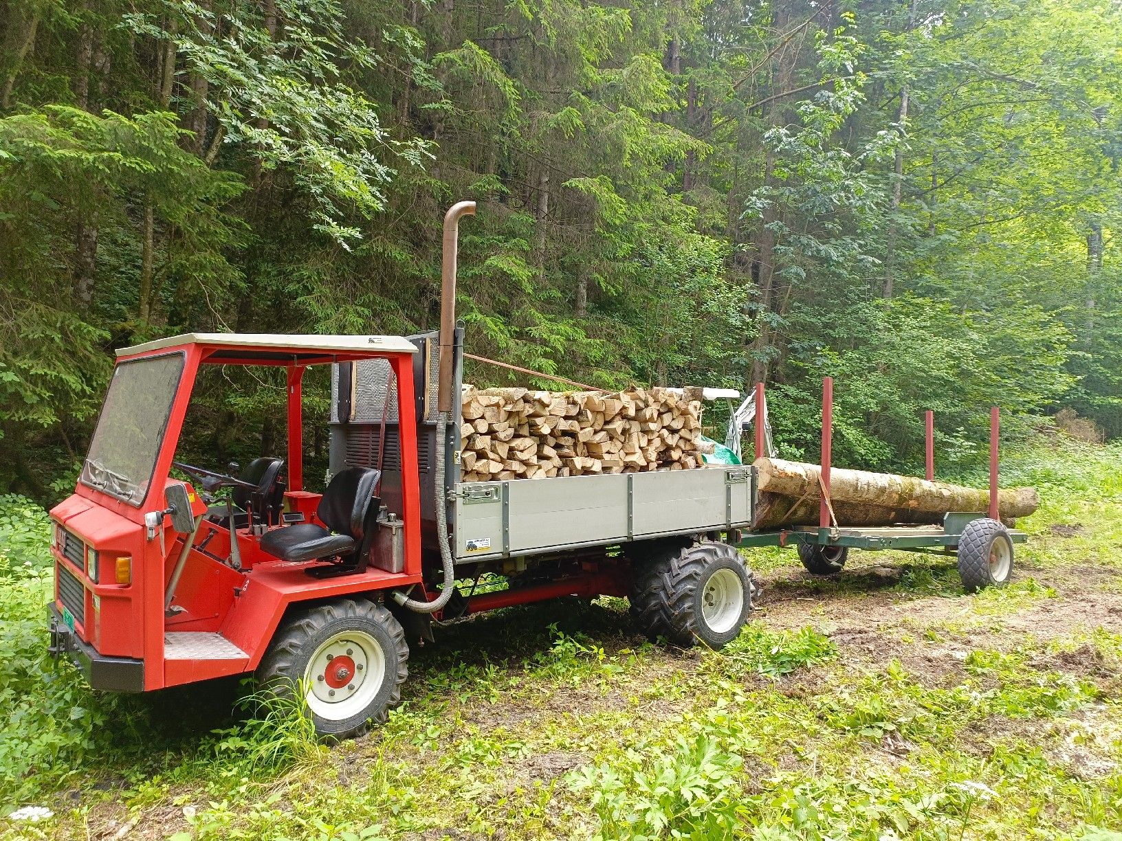 Aebi Tracteurs: Aebi Tp45 s – D'occasion à Bönigen par Moosranche 2
