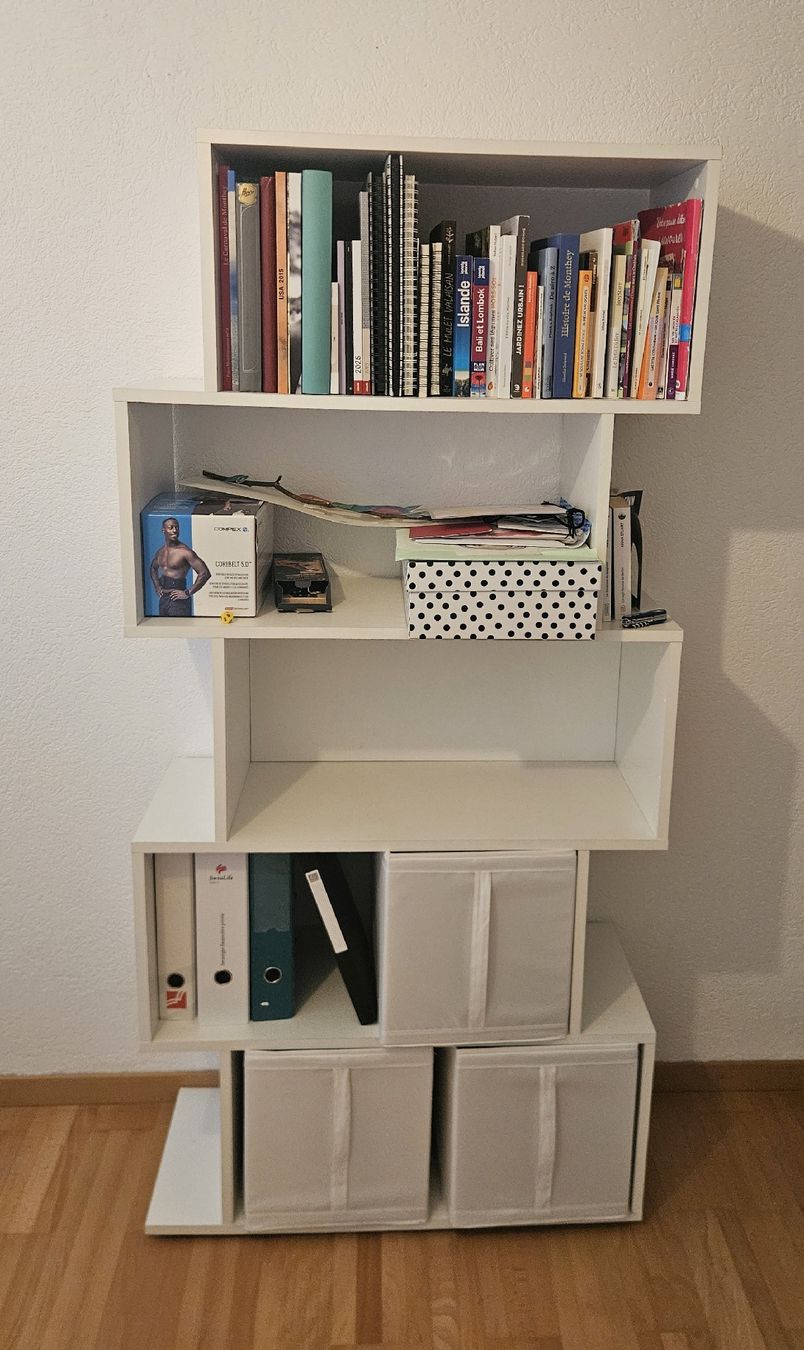 Regale: Bibliothèque  – Gebraucht aus Choëx von nicoo1