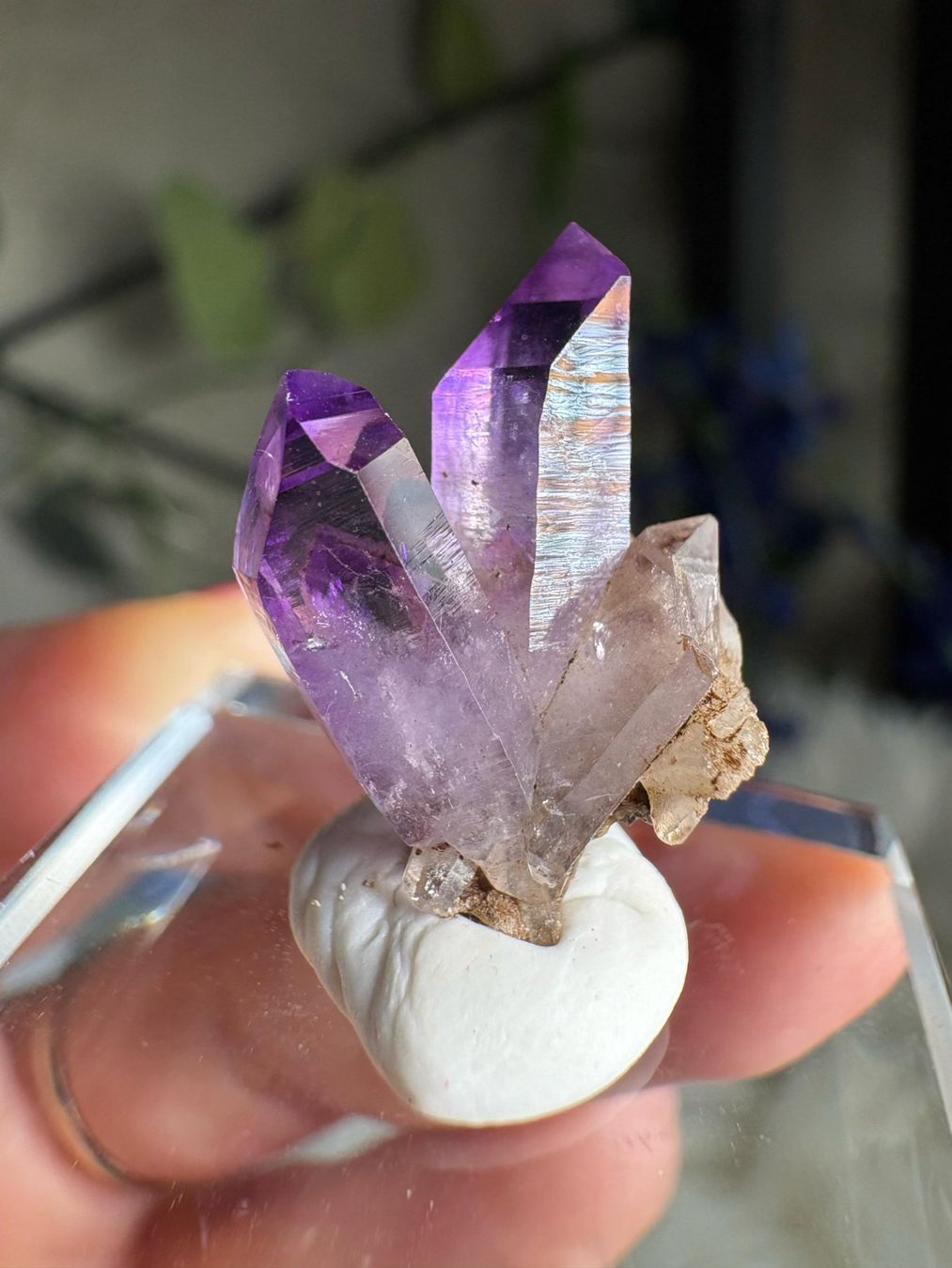 Pietre preziose: Veracruz Amethyst – Nuovo (secondo la descrizione) da Neuheim venduto da m.hald 5
