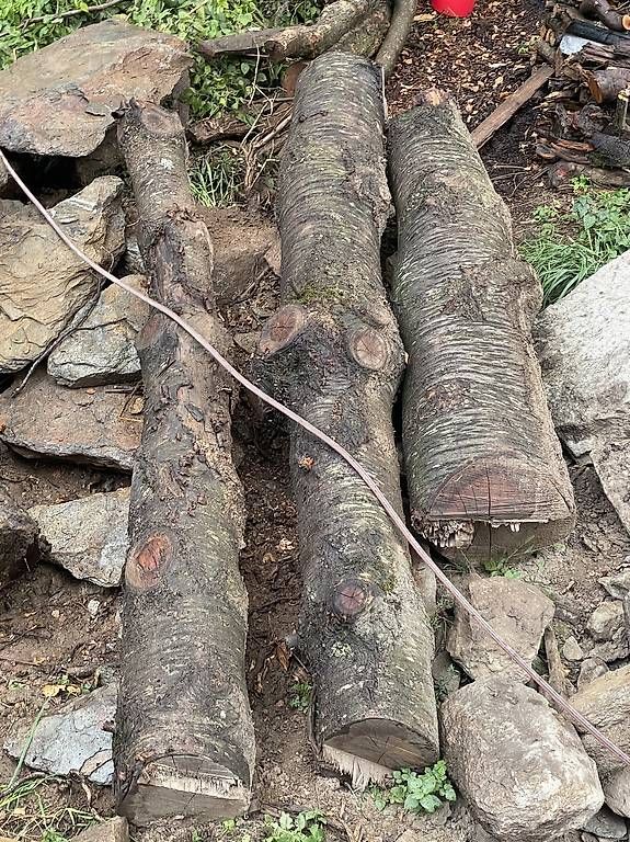 Articoli in legno: Holz Kirsche Baumstämme – Usato da Naters venduto da brunteles