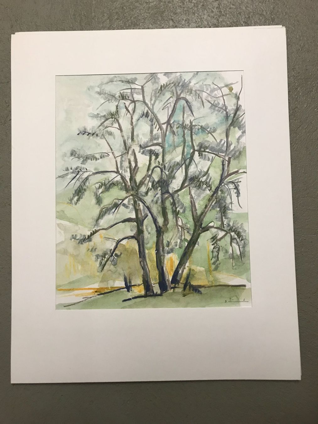 Dipinti: Junger Olivenbaum - Toscana, Aquarell, 33x40, 1993 – Usato da Biberist venduto da longimanus3