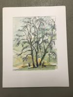 Junger Olivenbaum - Toscana, Aquarell, 33x40, 1993