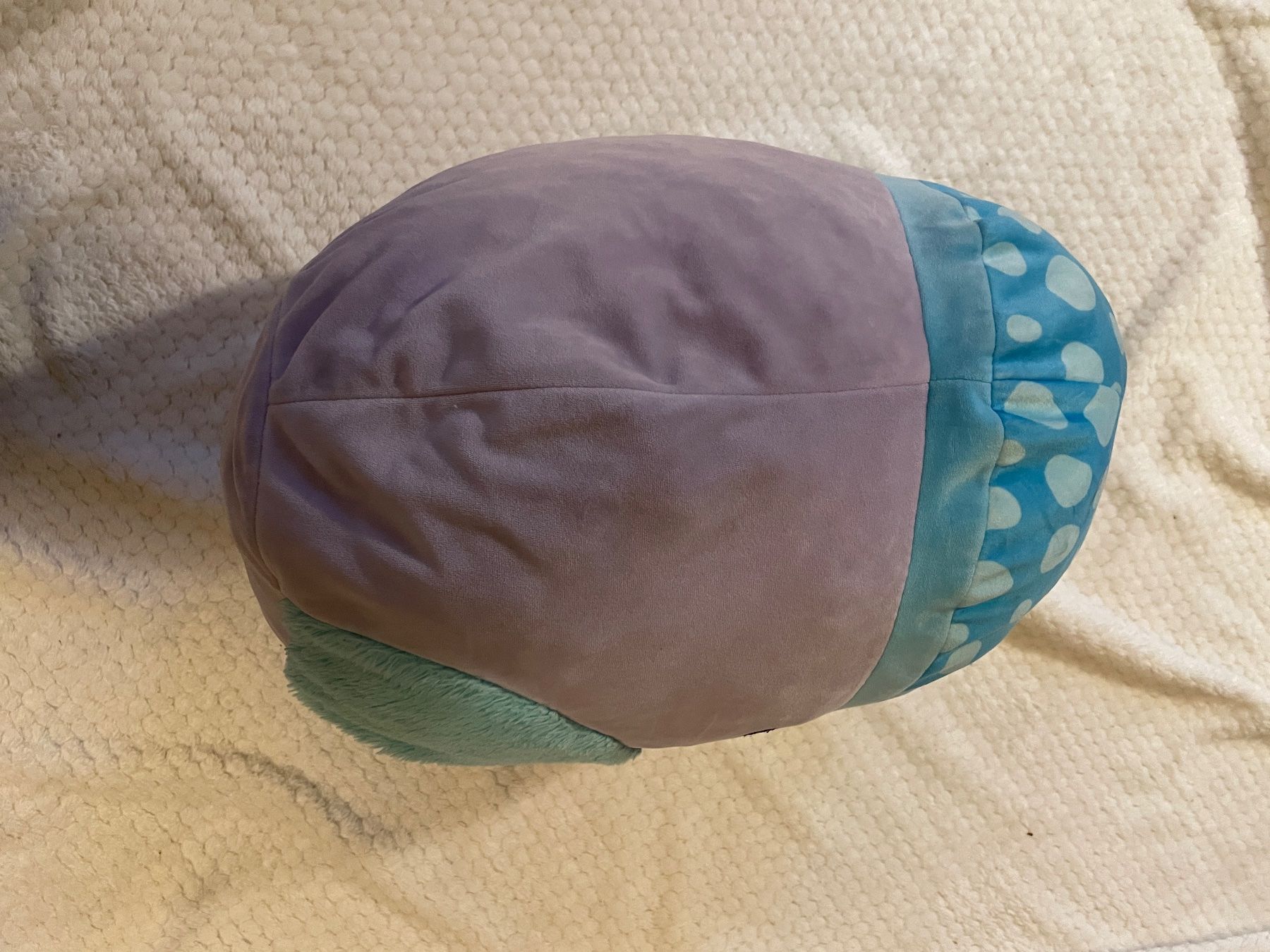 Squishmallows Giocattoli: Squishmallow Pilz – Usato da Bern venduto da Djakite 2