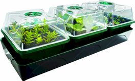 BioGreen Hollandia Aufzuchtstation