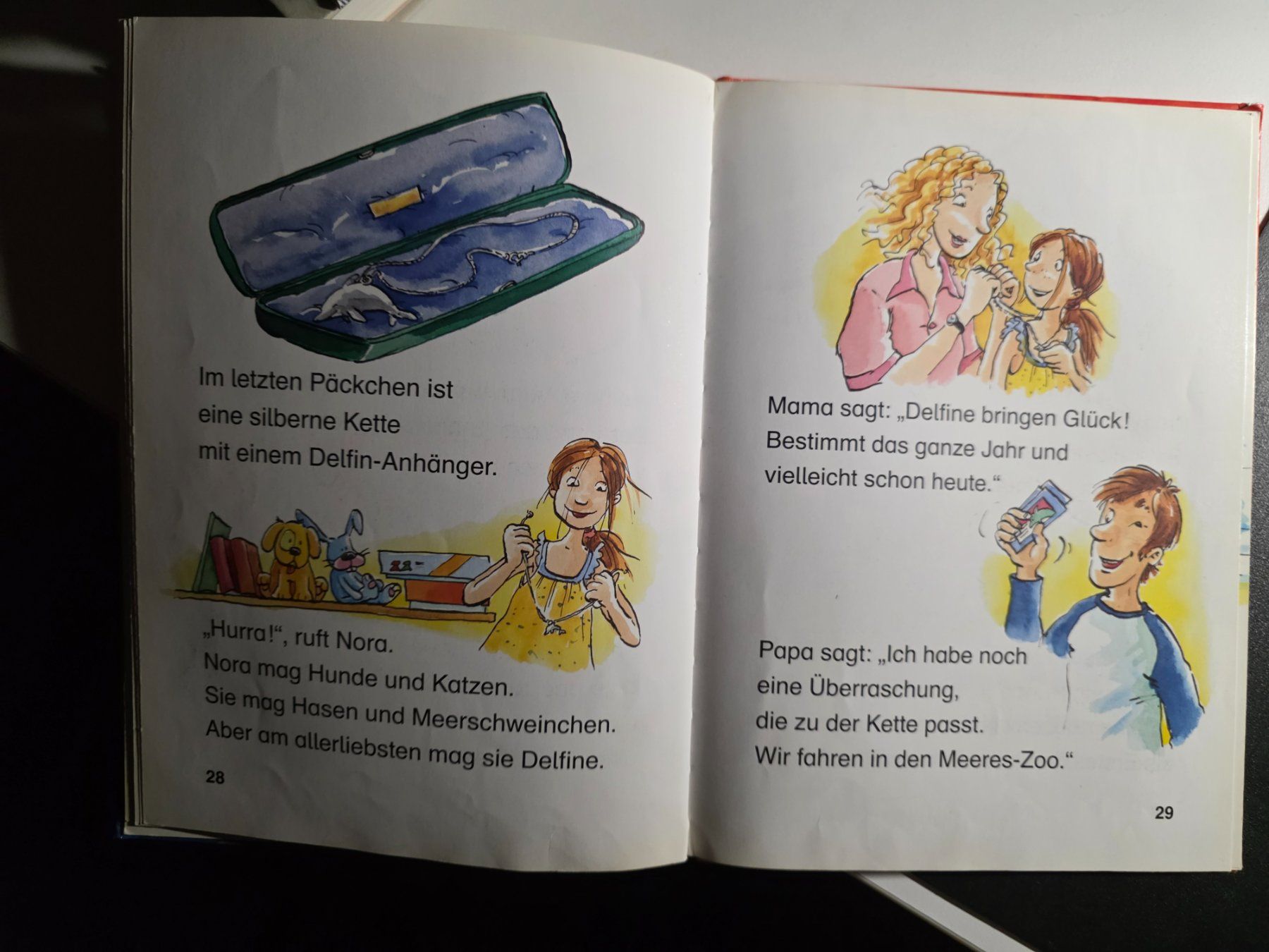 Bücher: Leserabe - Delfin Geschichten - 2005 – Gebraucht aus Walterswil BE von Lonitti 7