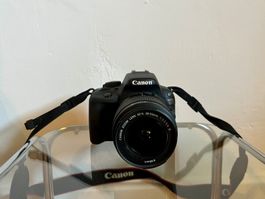 Spiegelreflexkamera Canon EOS 1000D mit 18-55mm Objektiv