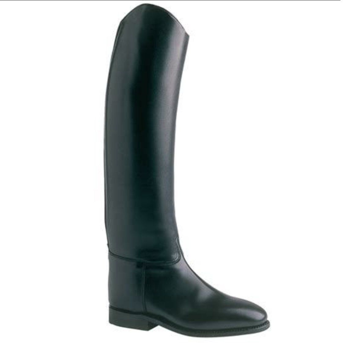 Herrenschuhe: Königs Reitstiefel, Grösse 39, Echtleder – Neu (gemäss Beschreibung) aus Zürich von sultaninchen 1