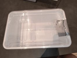 Aufzuchtbox oder Quarantänenbox Kunststoff weiss mit Deckel