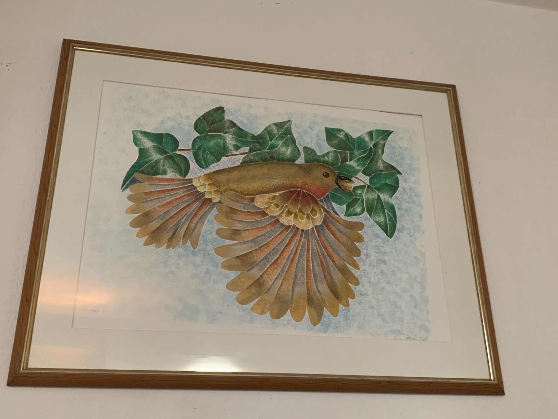 Foto & Immagini: Bild Vogelfrei" von G.Monte 1999 – Usato da Regensdorf venduto da Spyke55 4