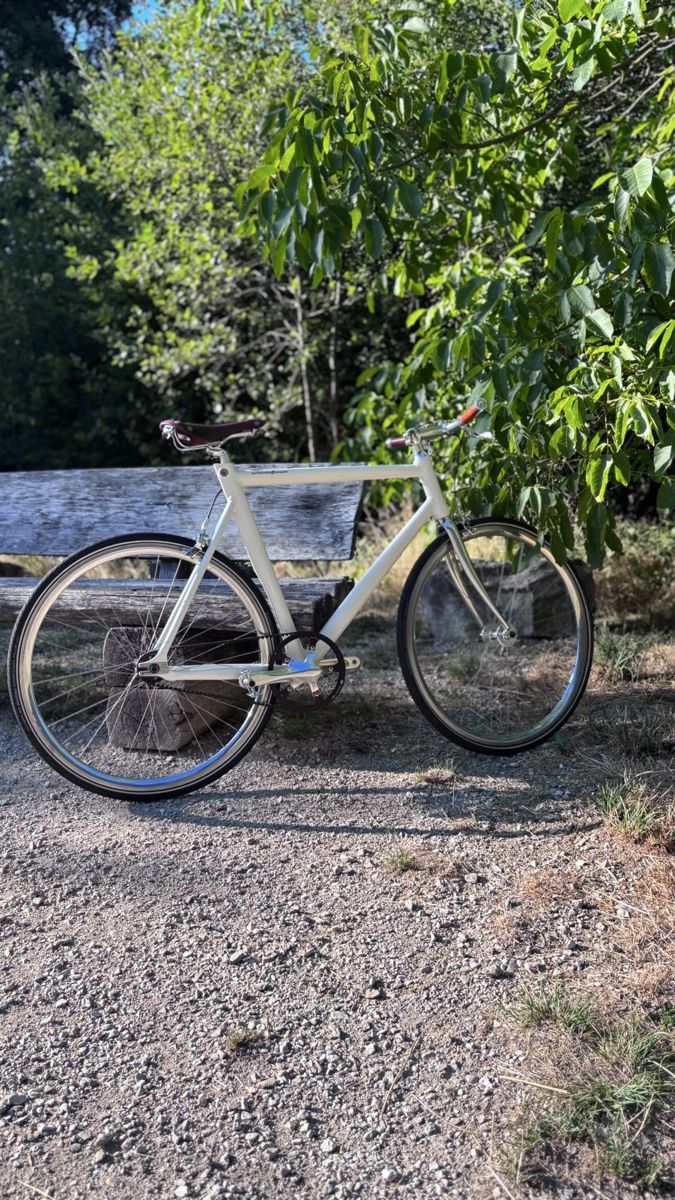 Schindelhauer Velos: Schindelhauer Siegfried – Singlespeed – Gebraucht aus Lyss von inf_c5q7 1