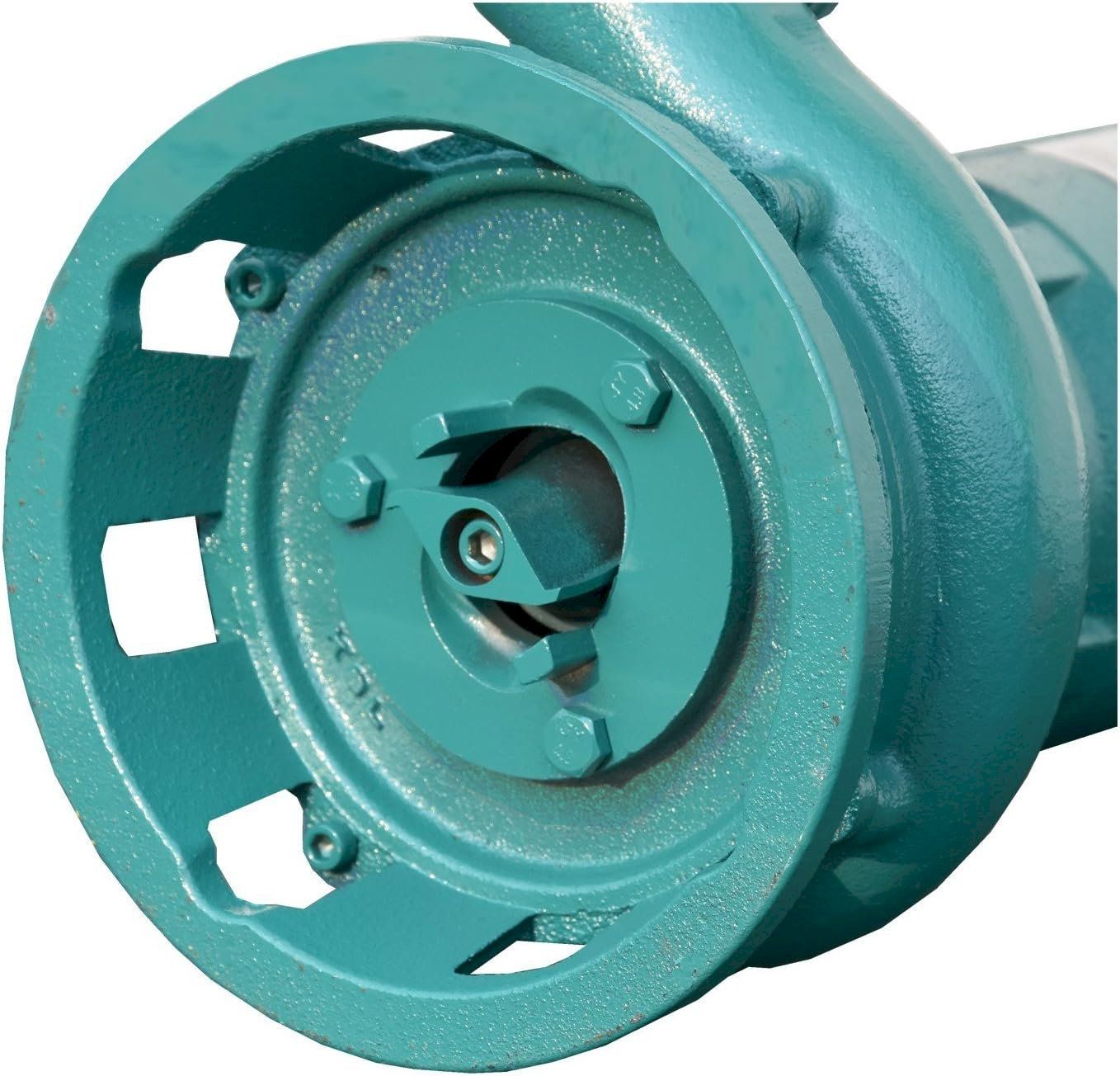 Pompes et pièces: IBO Tauchpumpe 550W – Neuf avec emballage d'origine à Bottighofen par zaap 1