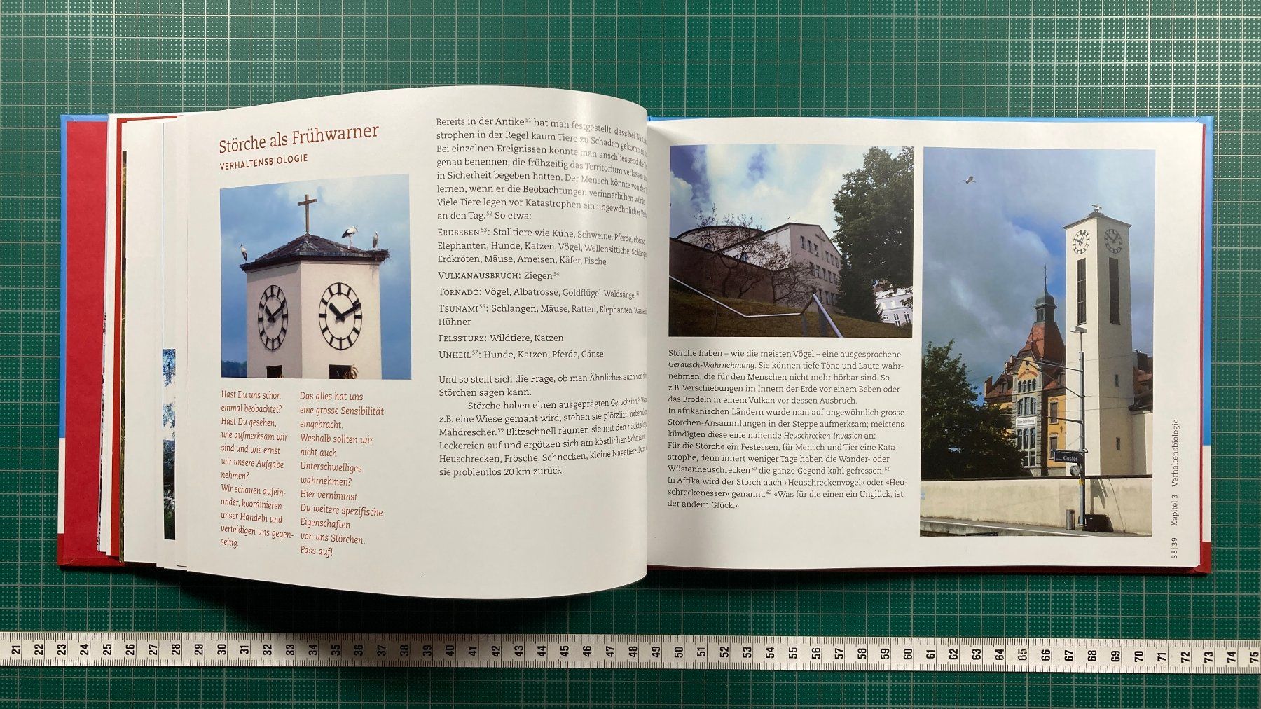 Libri: Maria Brun: STORCH, Schul- und Klosterbezirk Baldegg – Usato da Lenzburg venduto da fh1 5