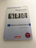 Mathematik Algebra und Datenanalyse Schweizer Ausgabe