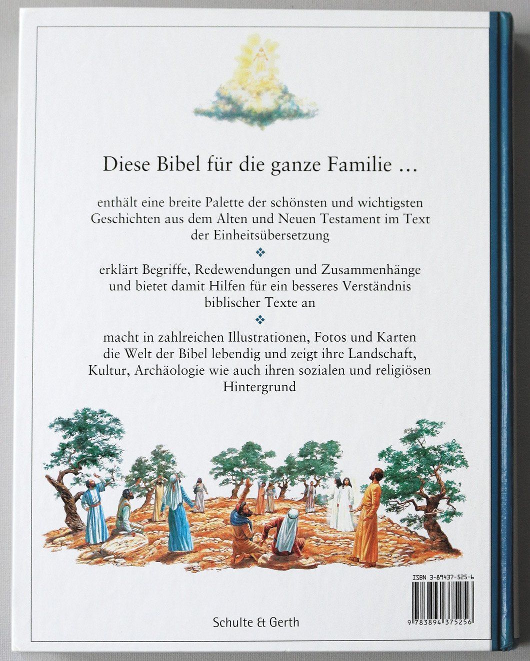 Livres: Die Illustrierte Bibel – D'occasion à Bern par imp_kln9 1