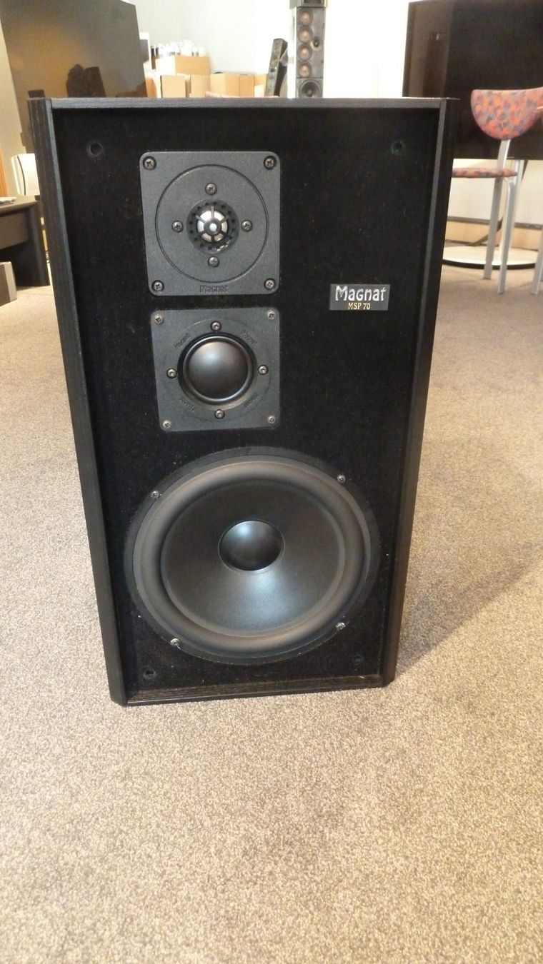 Magnat Casse acustiche: Magnat MSP 170 – Usato da Würenlingen venduto da Schneiderhifi 6