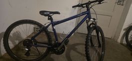 Toro Tigra velo 26Zoll 42cm 