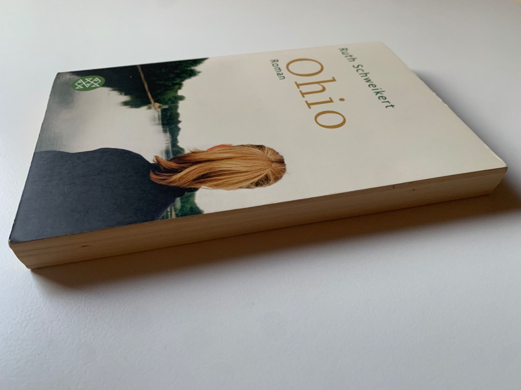 Libri: "Ohio" Roman von Ruth Schweikert – Usato da Zürich venduto da Leonieonie. 4