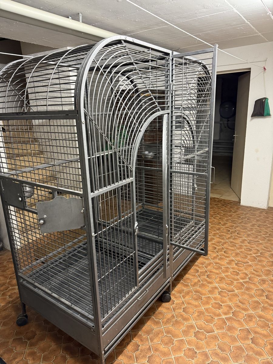 Gabbie, trasporto & Sicurezza: Vogelkäfig – Usato da Grossaffoltern venduto da Bagheera2015 2