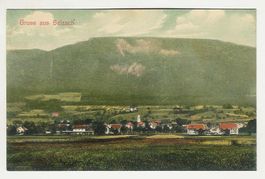 Selzach SO Totalansicht  ,   1903