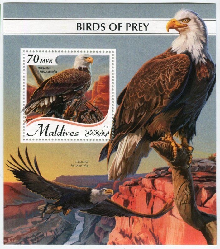 Alle Briefmarken: Block "Weisskopfseeadler". Malediven. – Neu und originalverpackt aus Basel von Butsch5