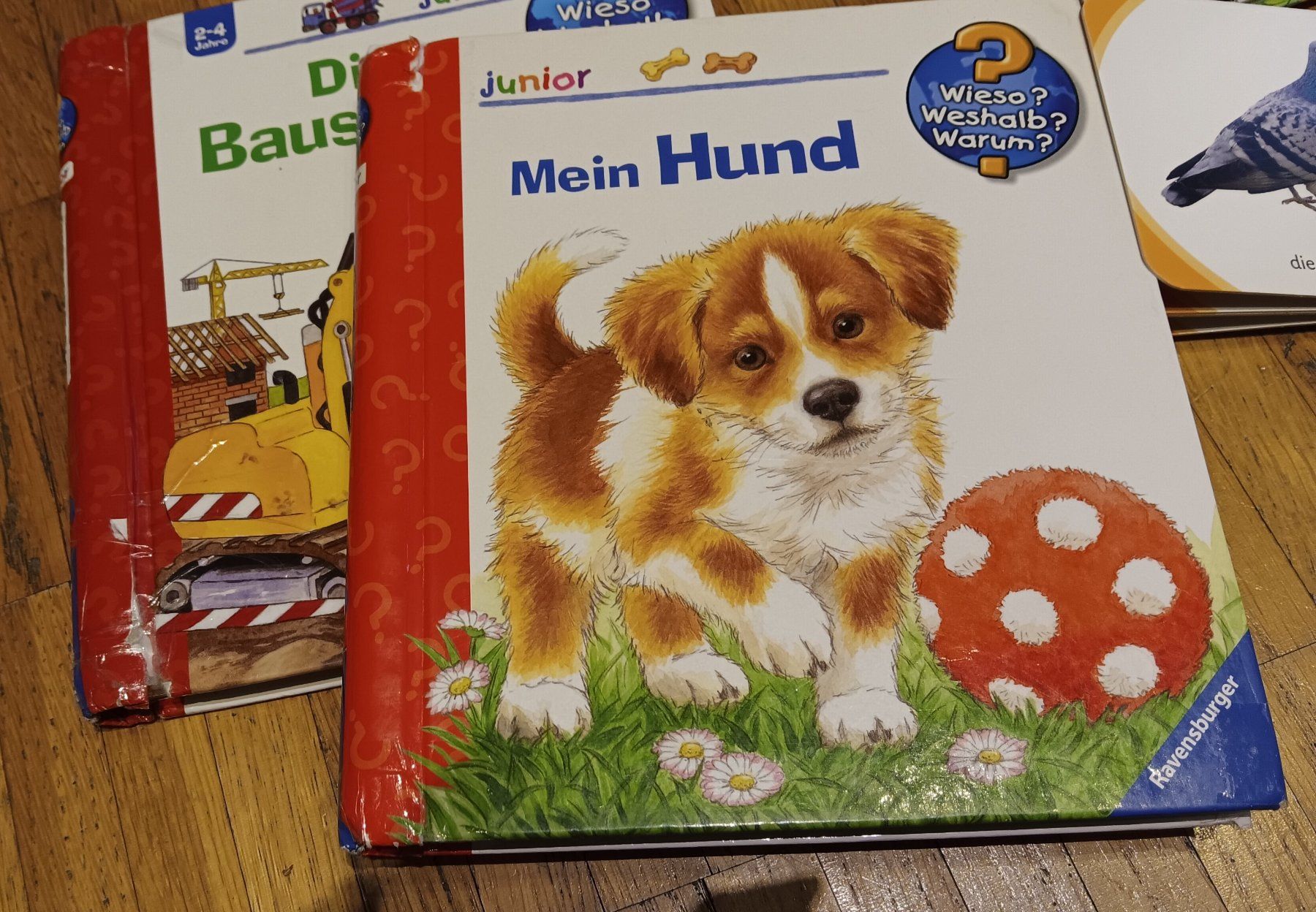Libri: Lot Bilderbücher mit dickem Karton – Usato da Dietikon venduto da Rabia 3