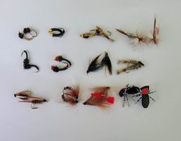 24 Stück verschidne Fliege und Nymphe