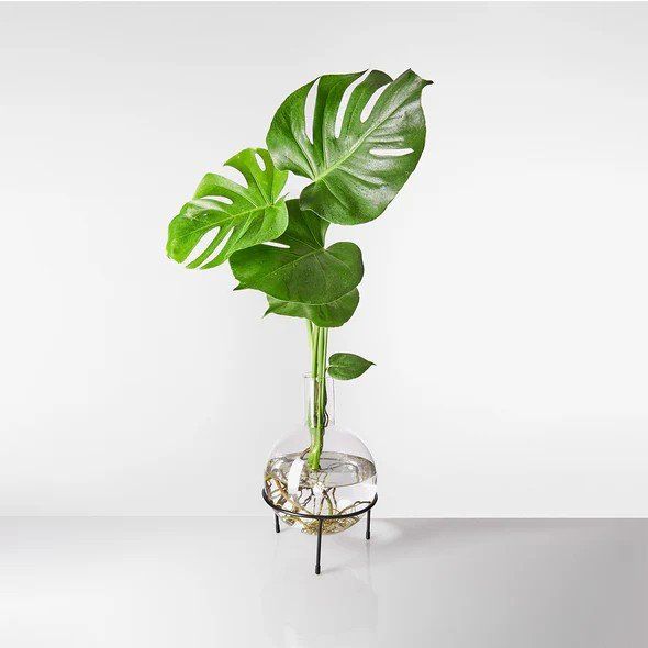 Vasi per fiori: 2er Set Plant Home-Kugeln von Leaf Labs – Nuovo (secondo la descrizione) da Rüschlikon venduto da mssereina 1