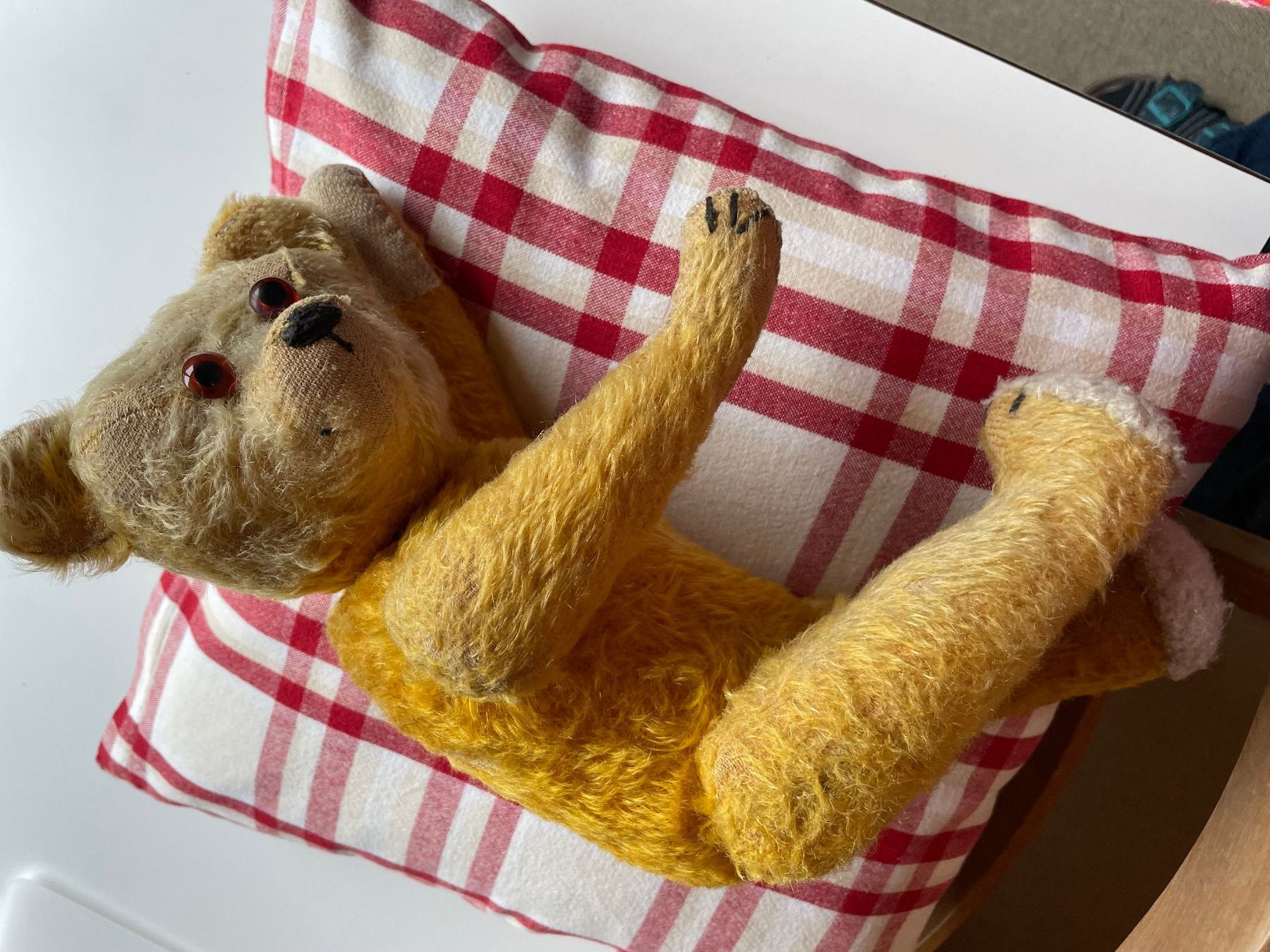 Giocattoli: Teddybär aus Urgrossmutters Zeit – Usato da Hausen am Albis venduto da Werk3 3