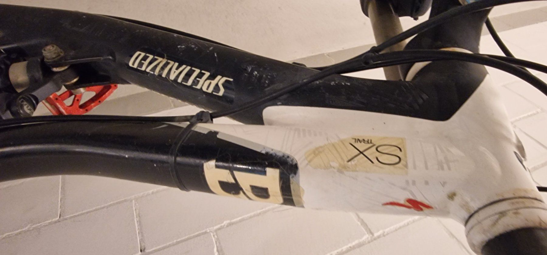 Specialized Biciclette: Mautain Bike Speciallzed – Usato da unterägeri venduto da Cfmotor 4
