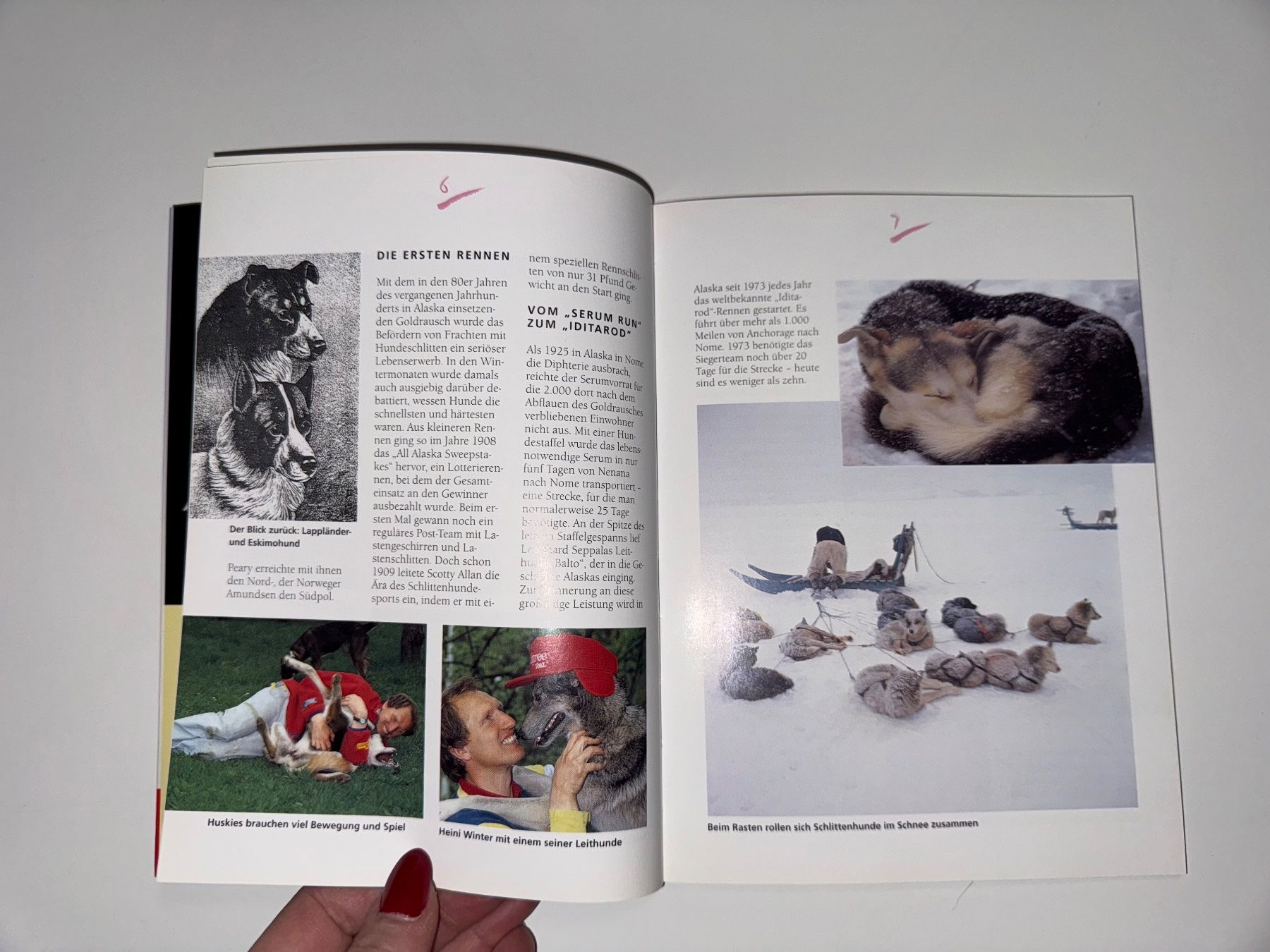 Libri: BUCH: Schlittenhunde – Usato da Grosswangen venduto da Second_hand_paradise 2