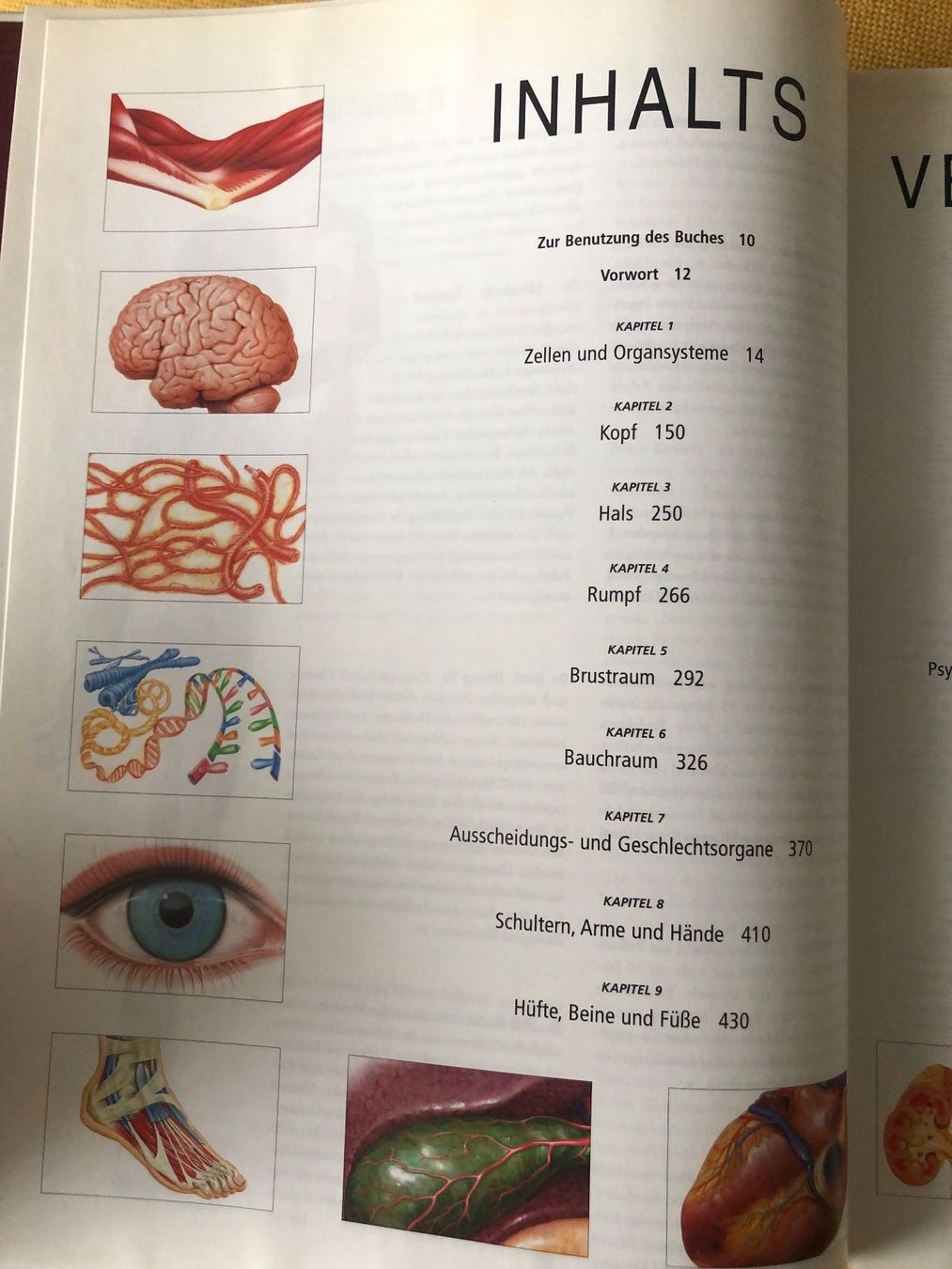 Libri: ANATOMICA von Könemann – Usato da Oberweningen venduto da Gerini 2