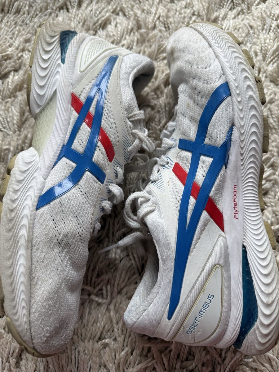 Asics Scarpe da uomo: Asics Nimbus 22 – Usato da Zürich venduto da Sebi.063 1