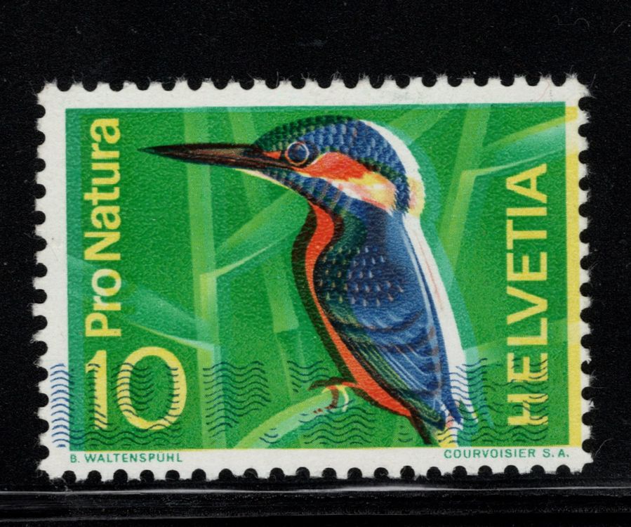 Lauschaer Glaskunst: Handgeblasener Glas-Eisvogel Mit Öse (ca. 8 Cm) – Zum Aufhängen Im Garten Oder Als Dekoration Für Radiometer