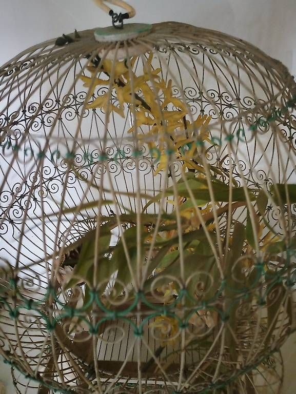 Cages, transport & sécurité: Bird cage  – D'occasion à Wädenswil par kus_2kf7 1