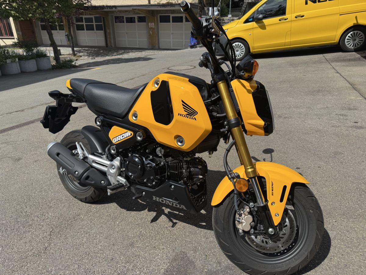 Honda Strada: Honda  MSX 125 – Nuovo (secondo la descrizione) da Münsingen venduto da FerrariF355 7