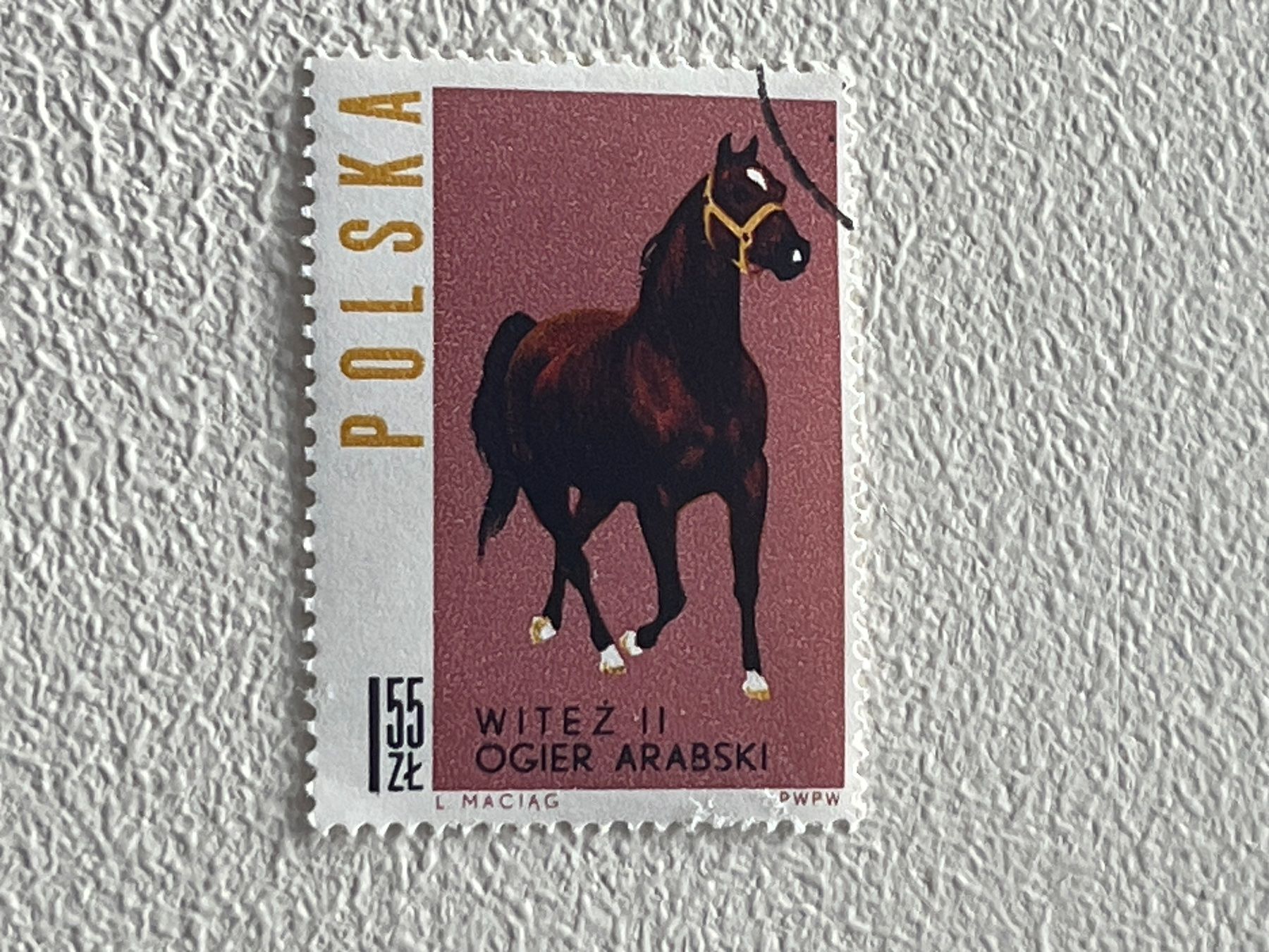 Tutti i francobolli: Polen Briefmarke – Usato da Chiasso venduto da AzenYa