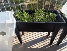 Hochbeet m. Deckel, ideal für Balkon, Kräuter & Gemüse 🥕🌿