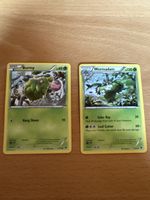 2 Pokemon Karten Burmy und Wormadam