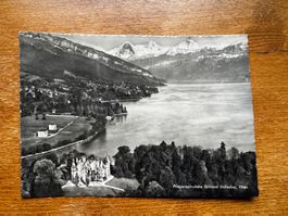 Alte Ansichtskarte, Fliegeraufnahme von Schloss Schadau Thun