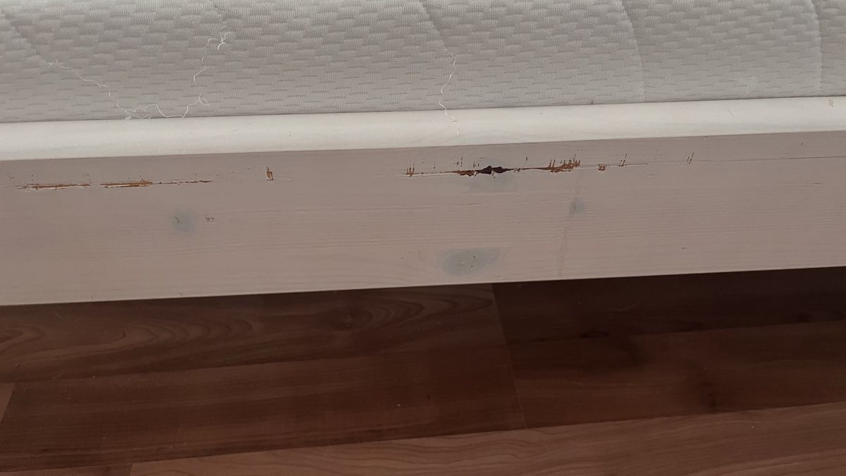 Flexa Lits: Flexa Bett mittelhoch – D'occasion à Rubigen par Shiva2707 1