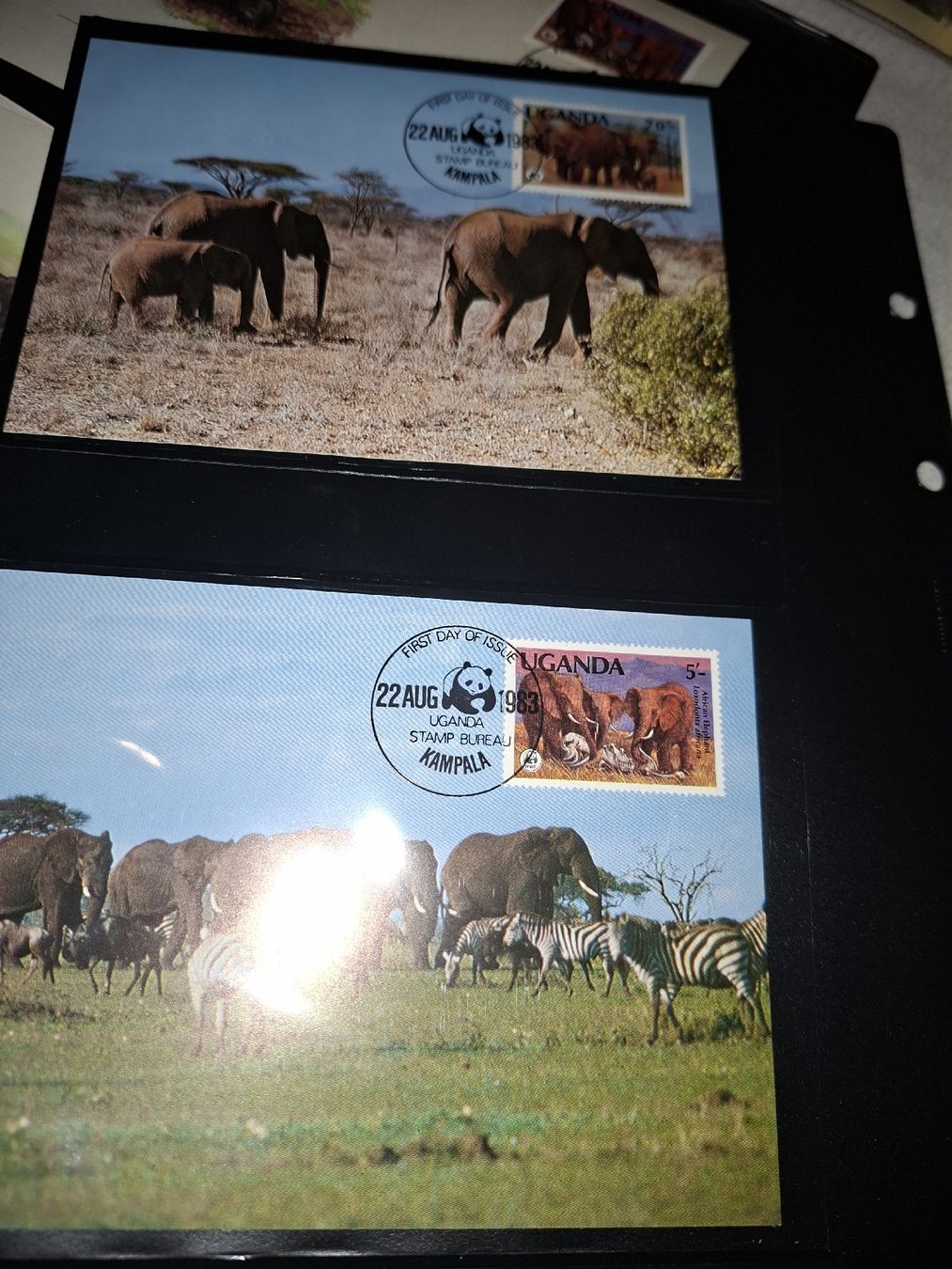Tutti i francobolli: Motive / WWF 1983 / Maximum / Einzelmarken – Usato da Balgach venduto da SIMEON27 1